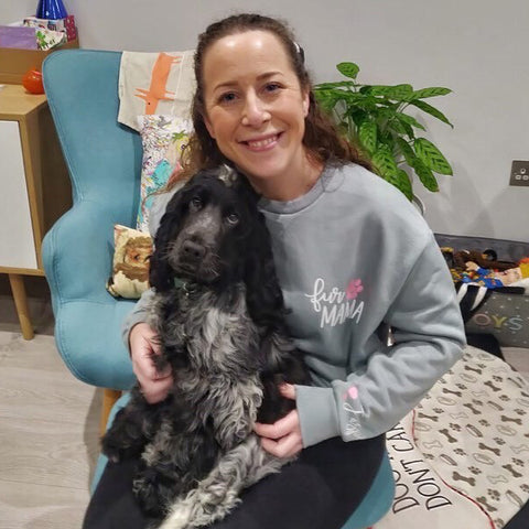 HiLife friend @mr_jasper_spaniel